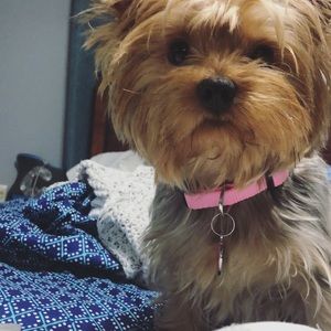 Meet your Posher, Melissa